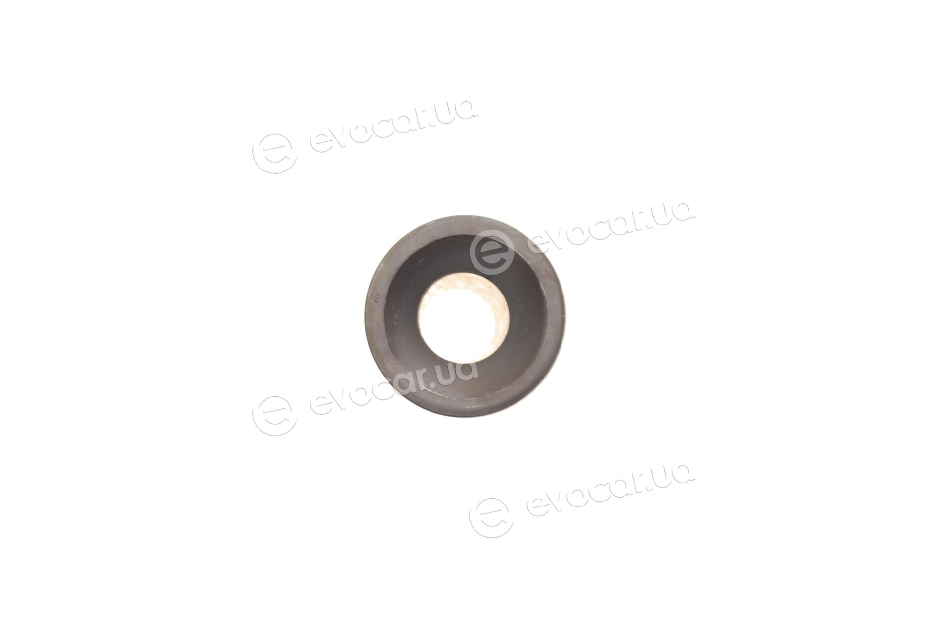 Mahle 028 PI 00116 000