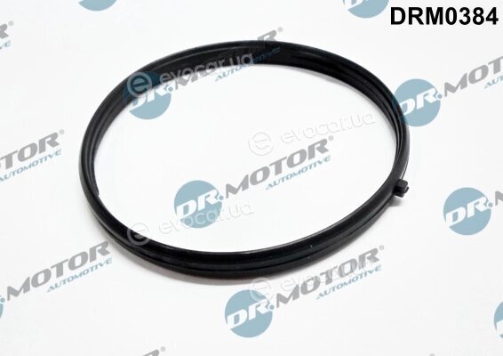 Dr. Motor DRM0384