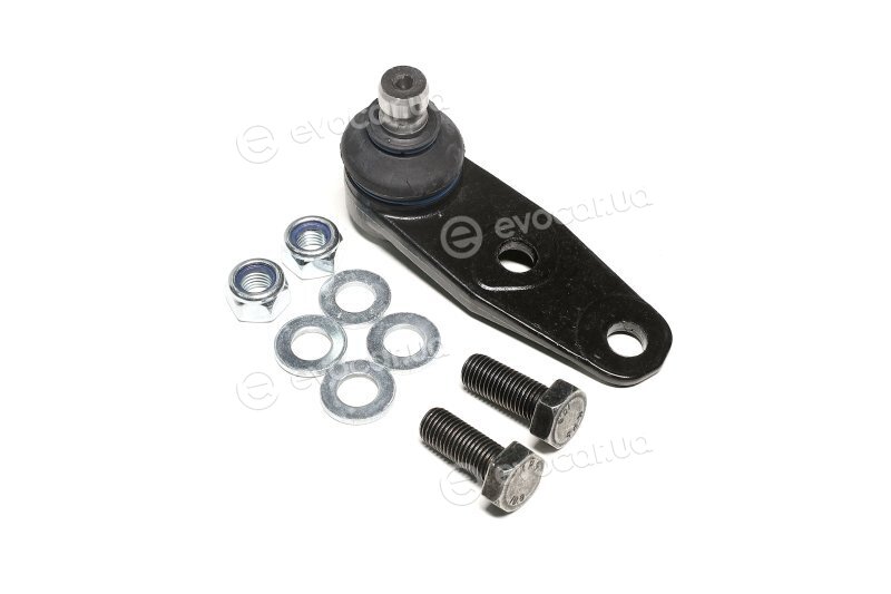 Sasic 4005277