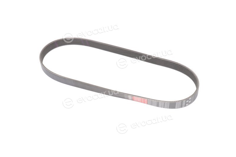 Gates 6PK893