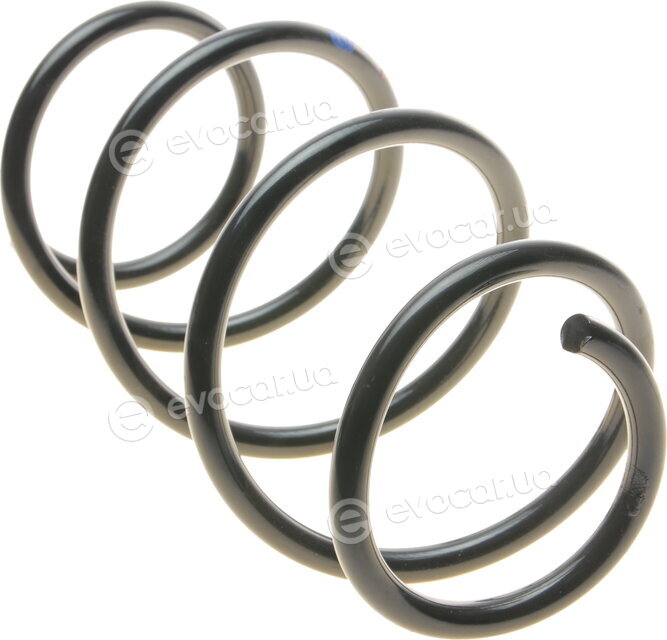 Borsehung B12564