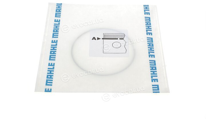 Mahle 009 88 N0