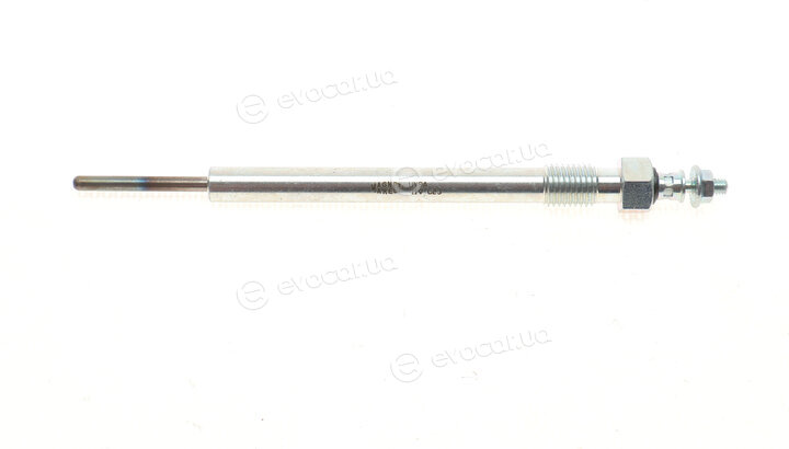 Magneti Marelli 062900066304