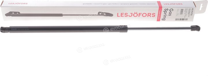 Lesjofors 8175733