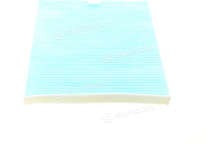 Blue Print ADG02567