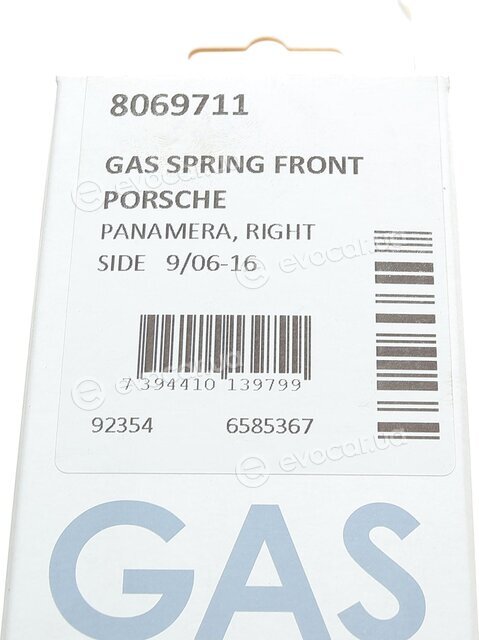 Lesjofors 8069711