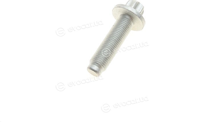Solgy 216185