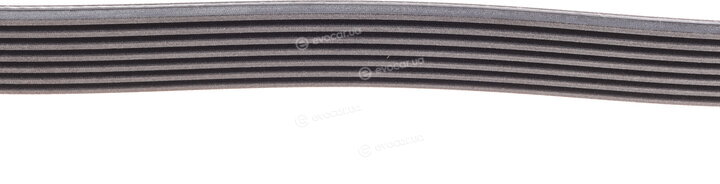 Continental 7PK1970K1