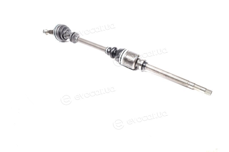 Magneti Marelli 302004190036