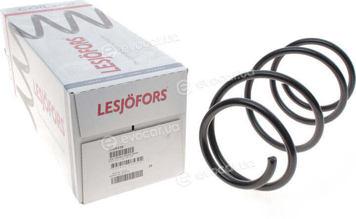 Lesjofors 4008438