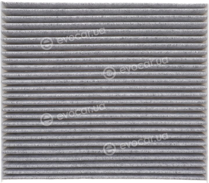 Solgy 104134