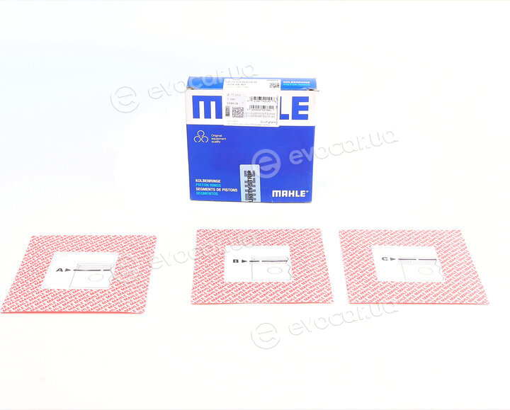 Mahle 029 55 N1