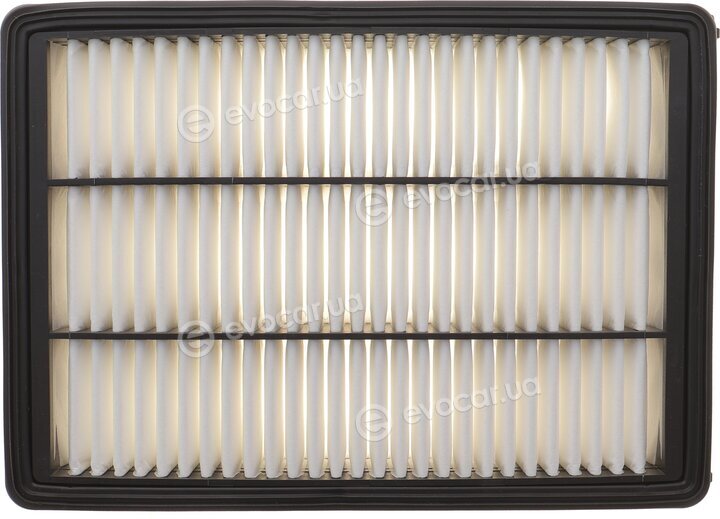 Solgy 103172