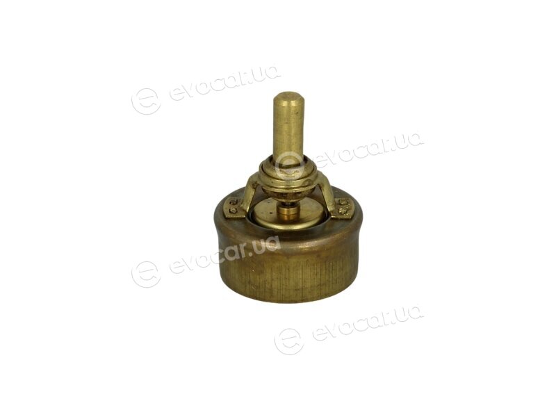 Wahler / BorgWarner 3029.89