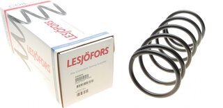 Lesjofors 4262016