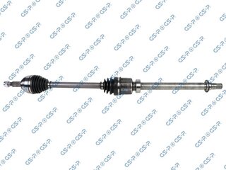 GSP 203833