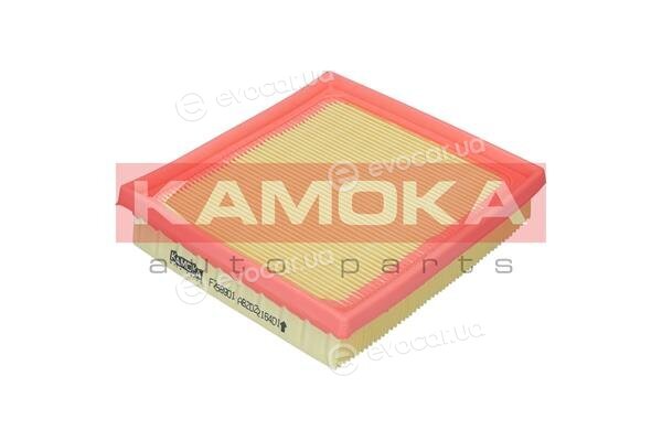 Kamoka F258901