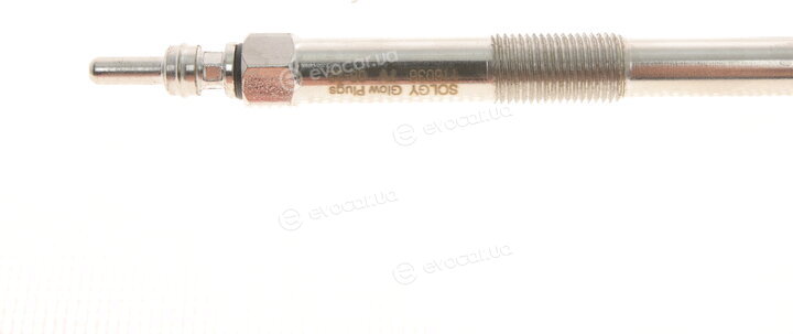 Solgy 116036