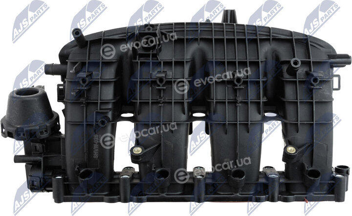 NTY BKS-VW-026