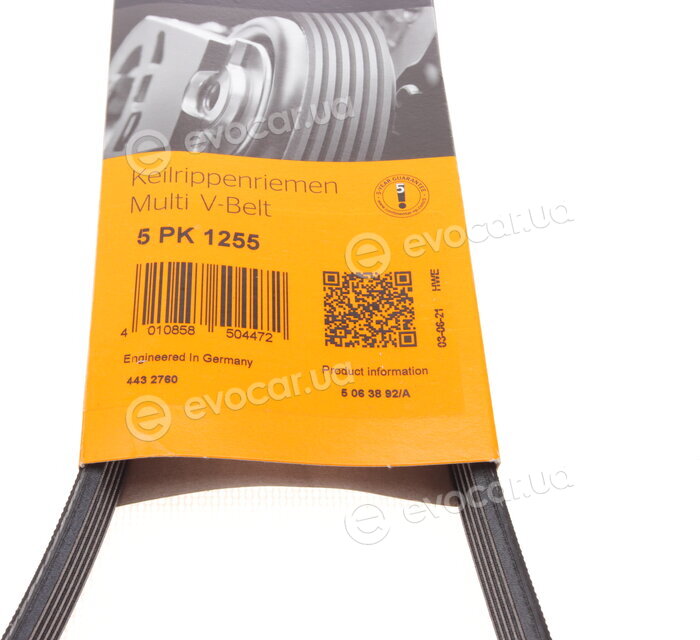 Continental 5PK1255