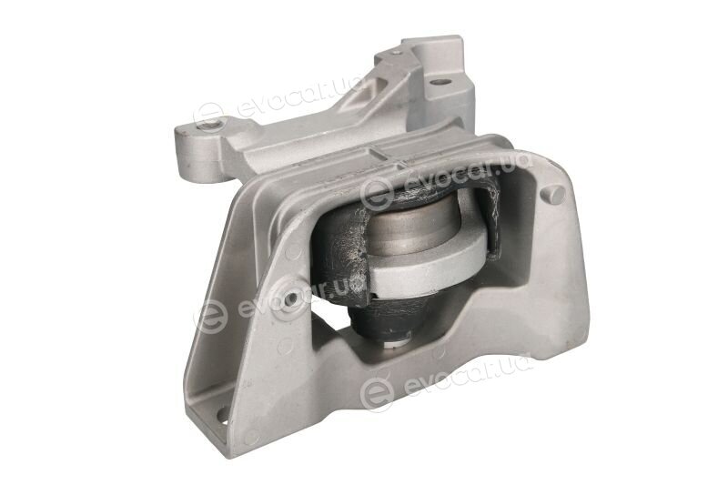 Tedgum TED99324
