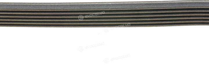 Continental 6PK1570