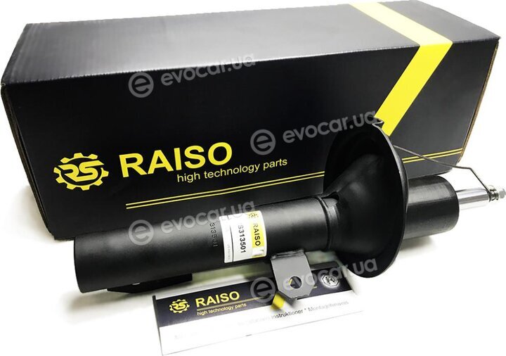 Raiso RS313501