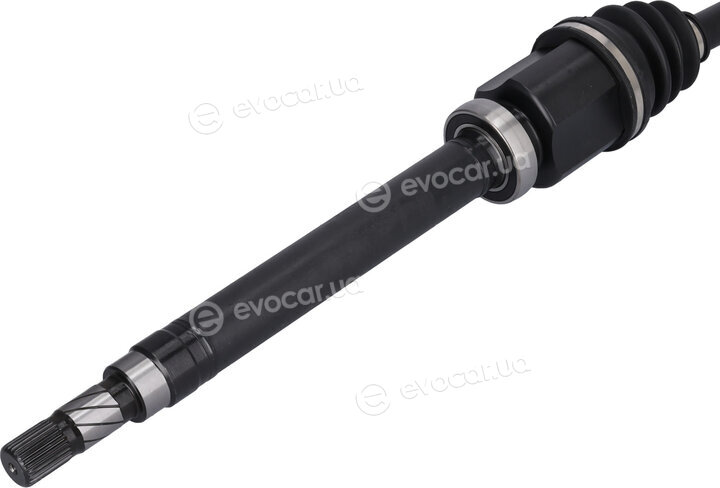 Febi 184800