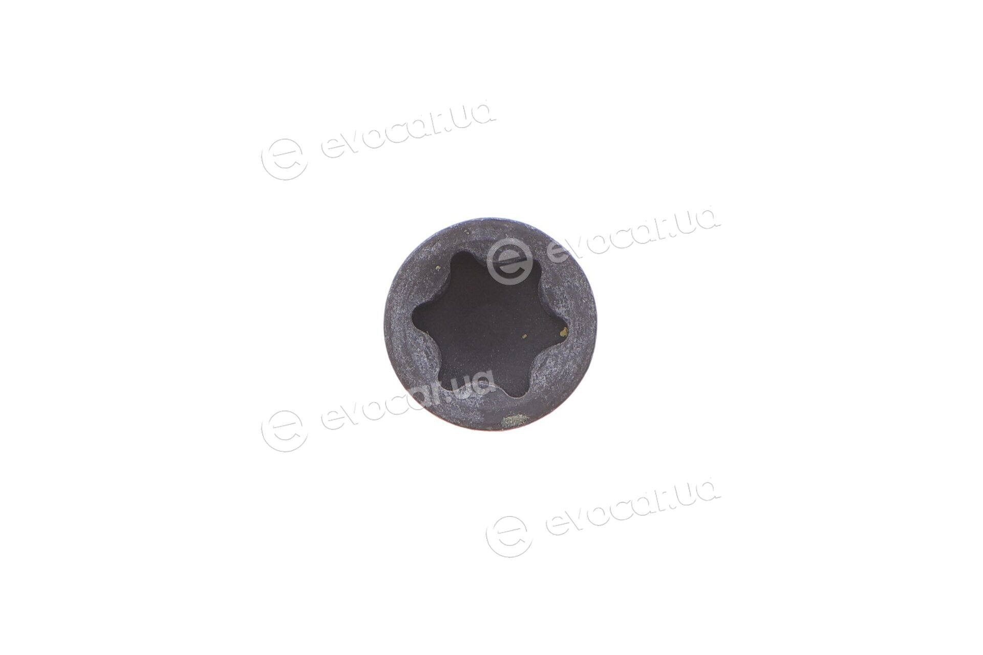 Blue Print ADF123305