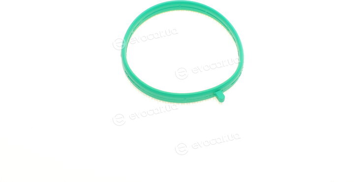 Elring 925.610