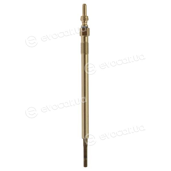 Starline S10242