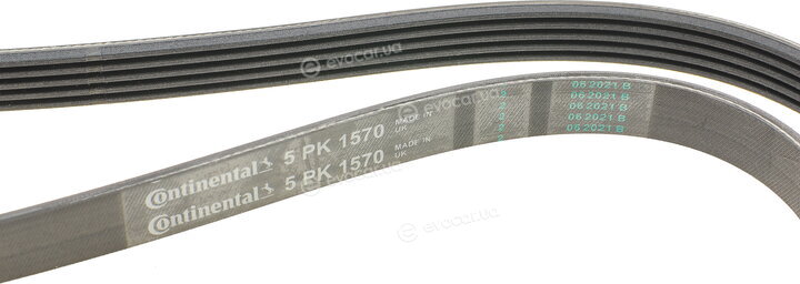 Continental 5PK1570