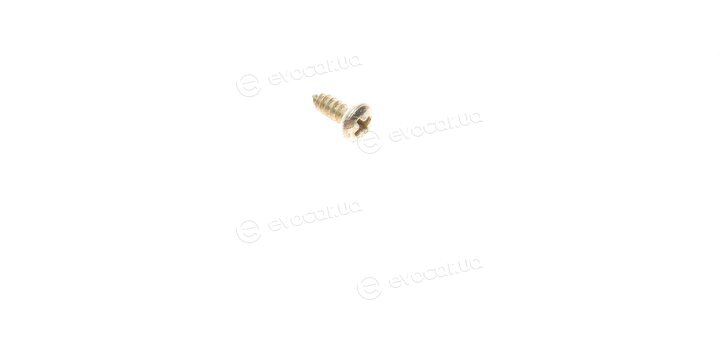 AIC 55481