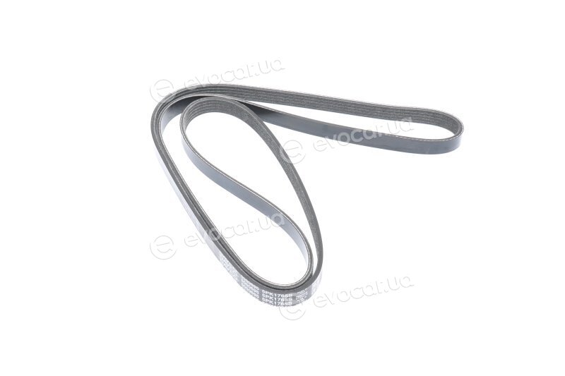 Dayco 5PK1765S