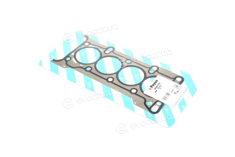 Payen AG8170