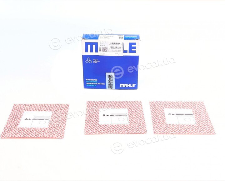 Mahle 029 55 N1