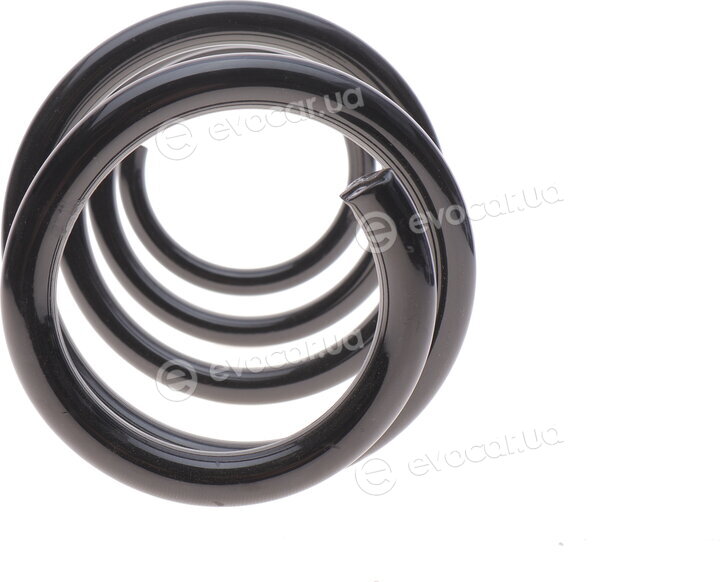 Solgy 212029