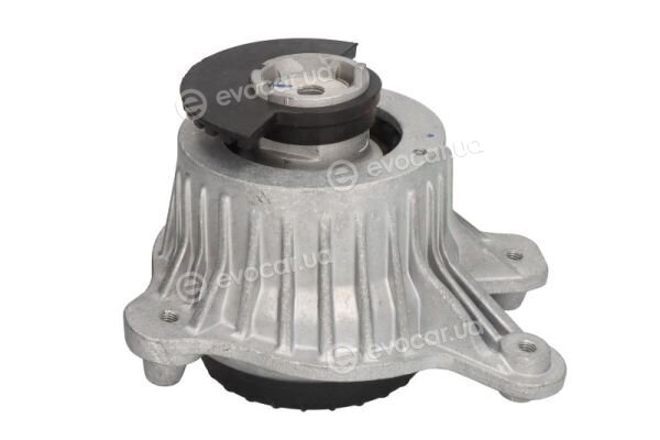 Reinhoch RH11-3136