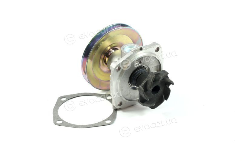 Metelli 24-0585