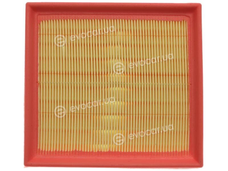 Starline SF VF7552