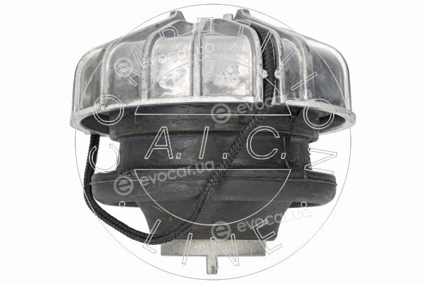 AIC 71566