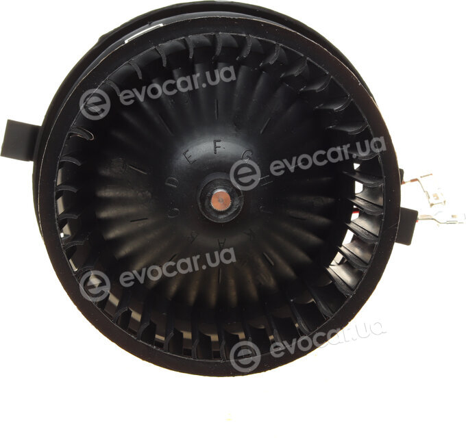 AIC 50606
