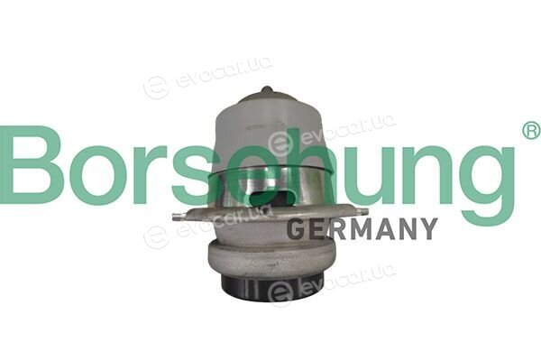 Borsehung B12890