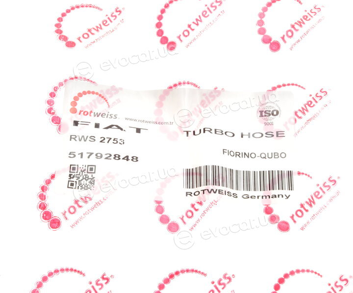 Rotweiss RWS2753