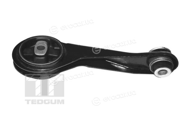 Tedgum TED84313
