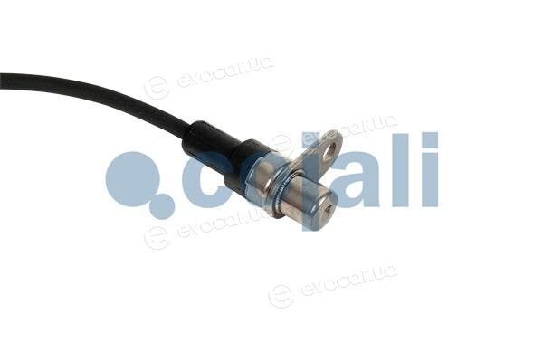 Cojali 2261492