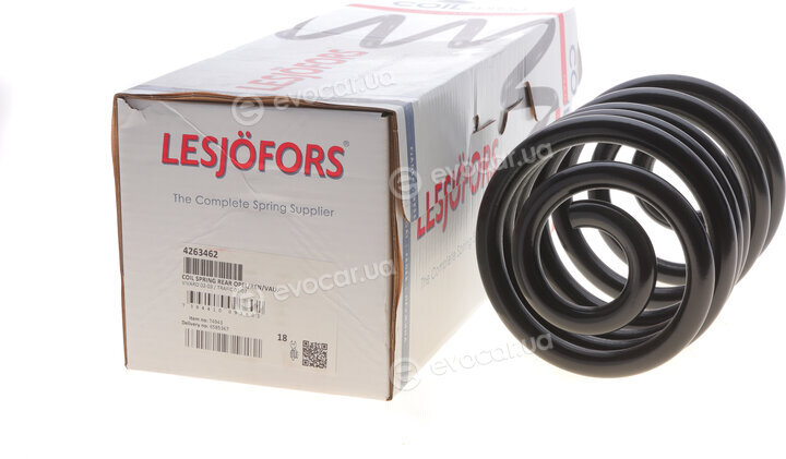 Lesjofors 4263462