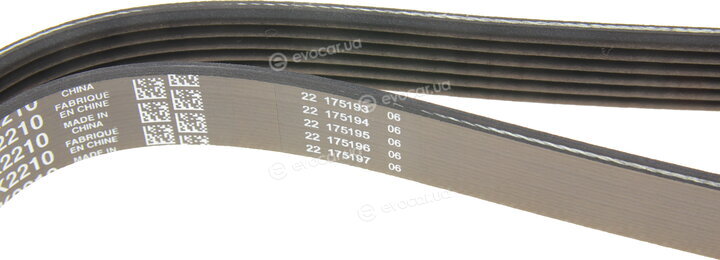 Dayco 6PK2210