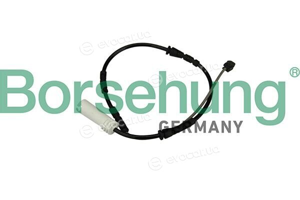 Borsehung B13171