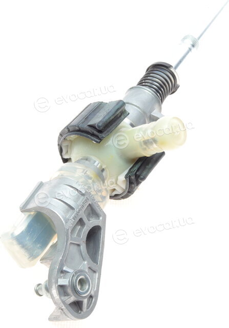 Borsehung B12098